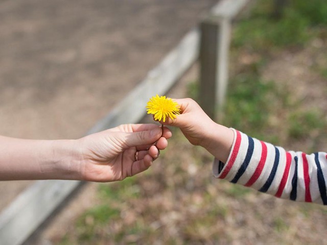 生前贈与を考えたら　相談すべきは弁護士？税理士？